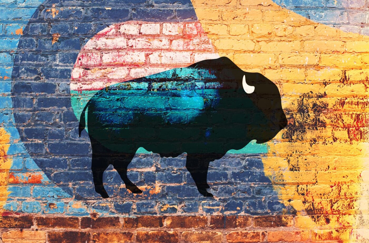 bison-passion-creative